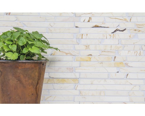 Plant in een pot voor een muur van bakstenen