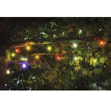 Decoratieve lichtslinger met gekleurde lampen bevestigd aan een boom.