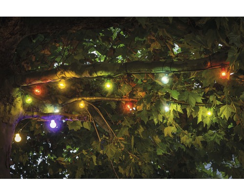 Decoratieve lichtslinger met gekleurde lampen bevestigd aan een boom.
