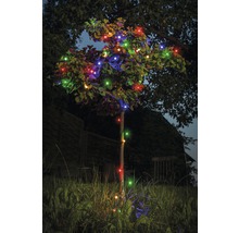 Boom met veelkleurige lichtslinger in de tuin