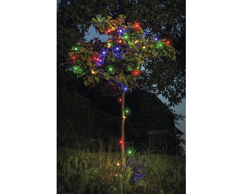 Boom met veelkleurige lichtslinger in de tuin