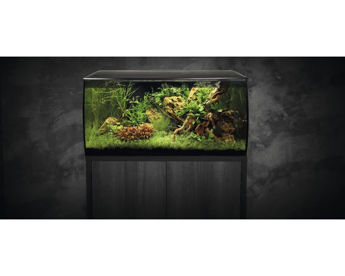 Aquarium met onderkast, beplant met waterplanten en stenen