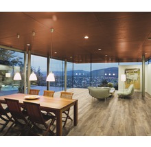 Lichte ruimte met eettafel, zithoek en grote raampartijen