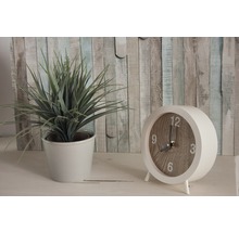 Decoratieve kamerplant in pot naast een analoge tafelklok