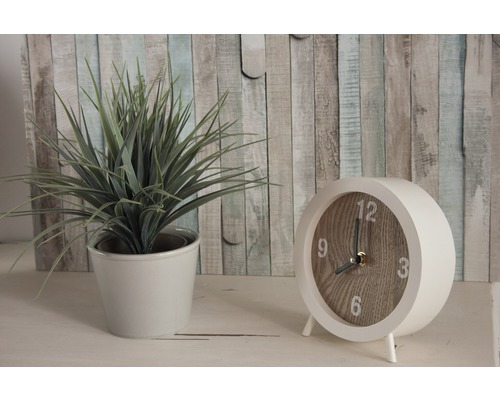 Decoratieve kamerplant in pot naast een analoge tafelklok