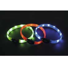 Drie LED halsbanden voor honden in groen, oranje en blauw