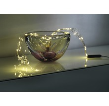 Decoratieve glazen schaal met filigraan LED-lichtsnoer