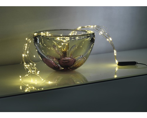 Decoratieve glazen schaal met filigraan LED-lichtsnoer