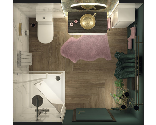 Bovenaanzicht van een badkamer met douche, toilet, wastafel en decoratie