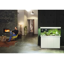 JUWEL Aquarium Rio incl. onderkast LED wit 240 L, 121x41x128 cm