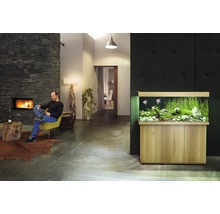 Woonkamer met aquarium, open haard en lezende man