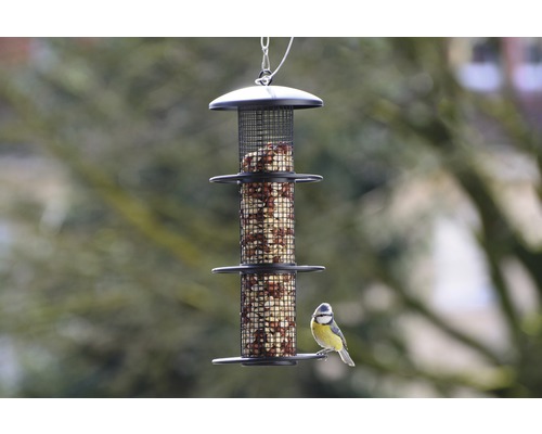 Vogelhuis met voer en pimpelmees
