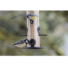 DOBAR Voederdispenser metaal zwart met 6 zitplaatsen, 14x14x36 cm-thumb-4 DOBAR Voederdispenser metaal zwart met 6 zitplaatsen, 14x14x36 cm-thumb-4