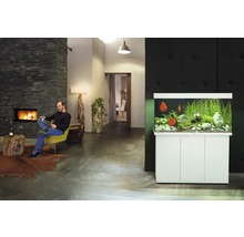 JUWEL Aquarium Rio incl. onderkast LED wit 350 L, 121x51x146 cm
