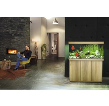 JUWEL Aquarium Rio incl. onderkast LED licht hout 350 L, 121x51x146 cm