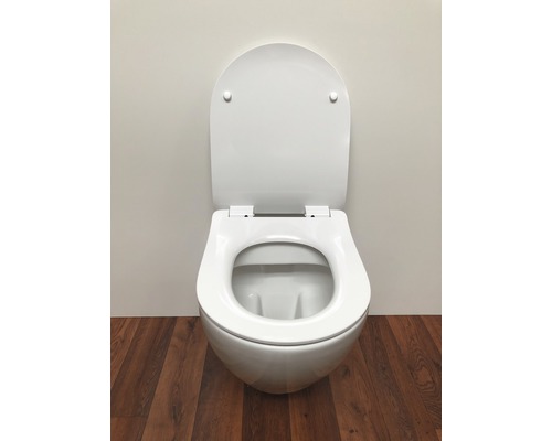 Wandcloset diepspoel met open spoelrand en toiletdeksel