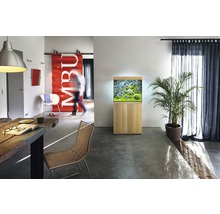 Woonkamer met aquarium op onderkast, eettafel en stoelen