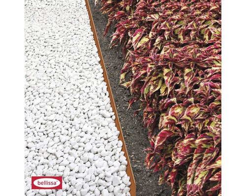 Tuinscene met witte sierkiezels, gazonrand en planten