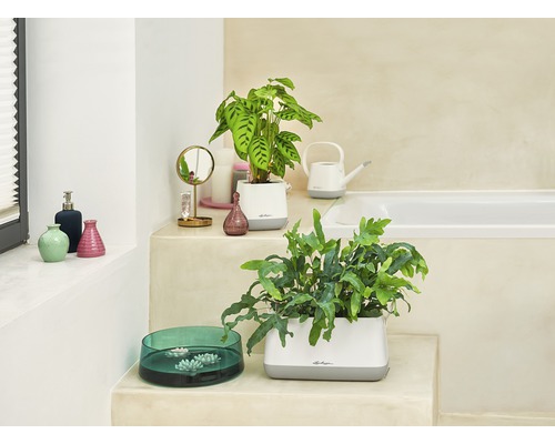 Lichte badkamer met planten in Lechuza plantenbakken, gieter en decoratieve vazen