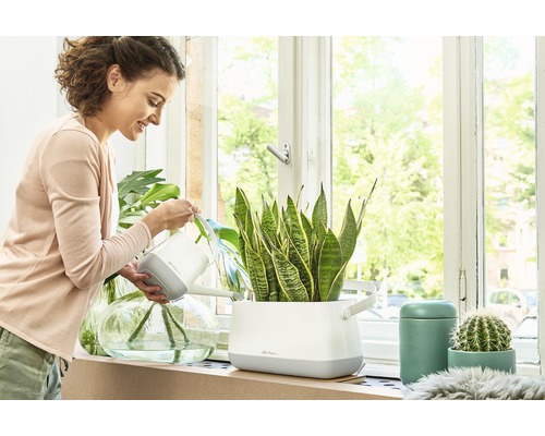 Vrouw geeft kamerplanten water met gieter op vensterbank