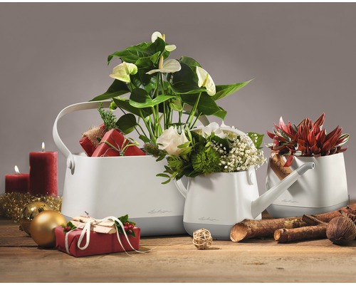 Decoratieve plantenbakken in de vorm van gieters met planten en kerstversiering