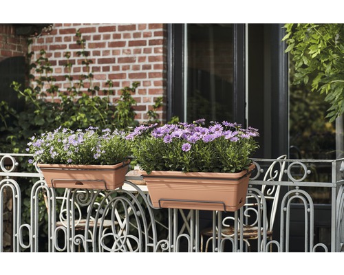 Twee balkonbakken met bloemen op een balkonreling.