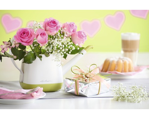 Decoratief stilleven met rozen in een gieter, een cadeau en een cake