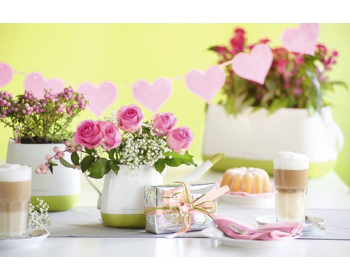 Decoratieve tafel met planten, drankjes en cadeau