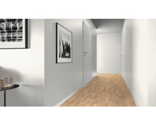 Hal met laminaatvloer, binnendeuren en wanddecoratie