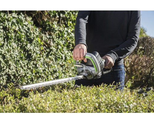 Persoon snoeit haag met een heggenschaar