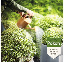 Tuinonderhoud met gieter en Pokon logo