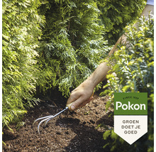 POKON Conifeer & Taxus Mest 1 kg-thumb-3