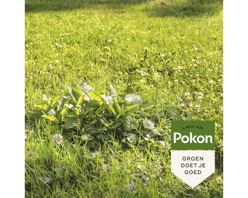 Grasveld met onkruid en Pokon Logo