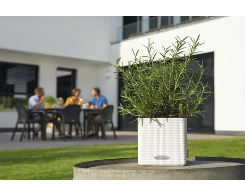 Vierkante plantenbak met kruiden in de tuin