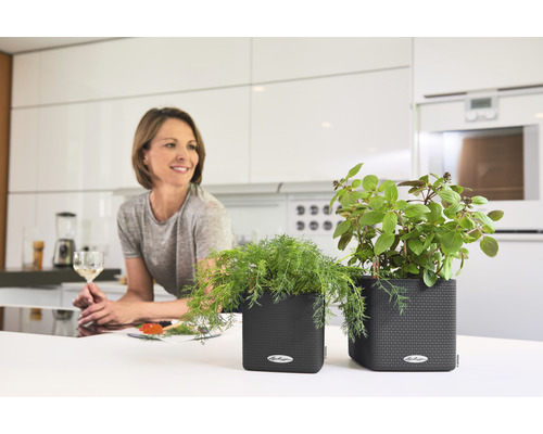 Scene van een moderne keuken met kruidenpotten op een aanrecht