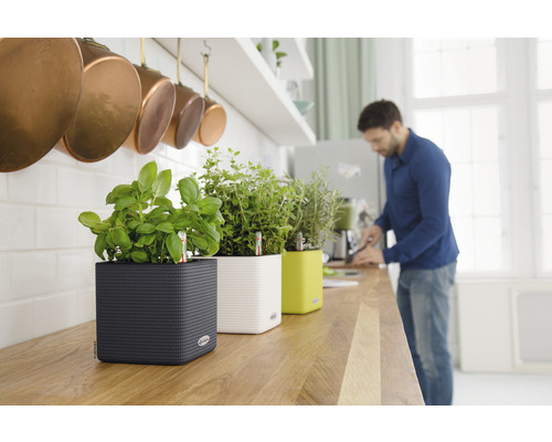 Keuken met kruiden in plantenbakken op een aanrecht en een persoon op de achtergrond