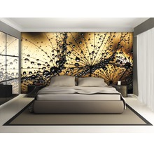 Slaapkamer met fotobehang paardenbloem en waterdruppels