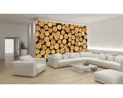 Lichte woonkamer met muurschildering van houtstapels, bank en salontafel