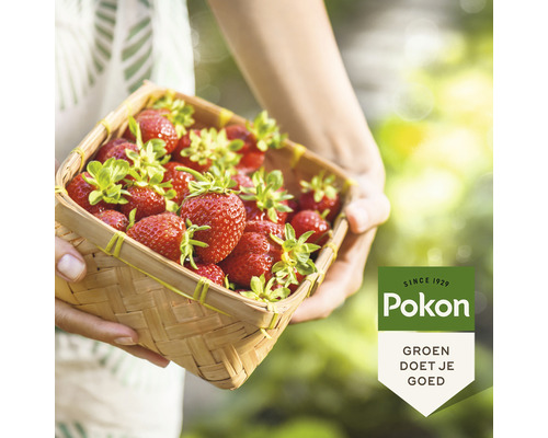 "Persoon houdt een mand met aardbeien vast