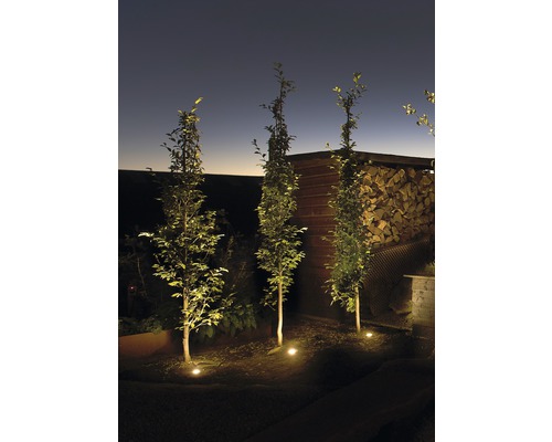 Verlichte tuin met bomen en ingebouwde buitenlampen