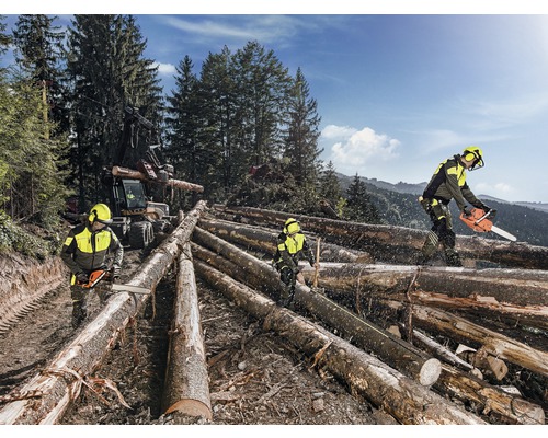 Bosarbeiders met kettingzaag tijdens de houtoogst in het bos