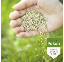 Een hand houdt graszaad boven een gazon. Pokon Logo.