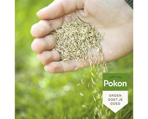 Een hand houdt graszaad boven een gazon. Pokon Logo.