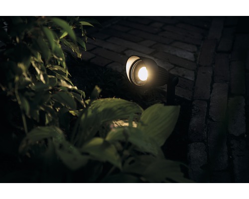 Tuinspot verlicht een pad