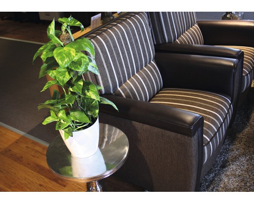 Woonkamerscène met bank, bijzettafel en kamerplant