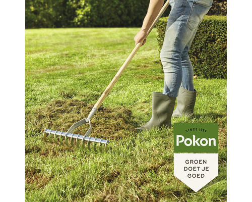 Een persoon verticuteert een gazon met een verticuteerhark. Pokon logo.