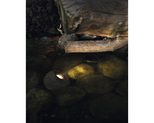 Decoratieve vijver scène met boomstam en steenlamp in het water.