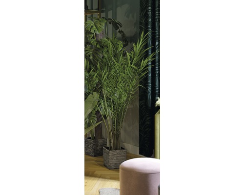 Decoratieve kamerplanten in gestructureerde potten in een woonkamer.