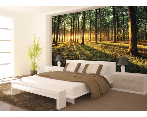 Slaapkamer met fotobehang van een bos bij zonsopgang