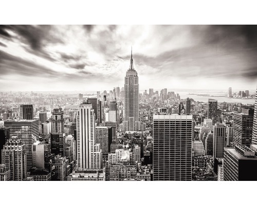 Fotobehang vlies Skyline New York 250x104 cm